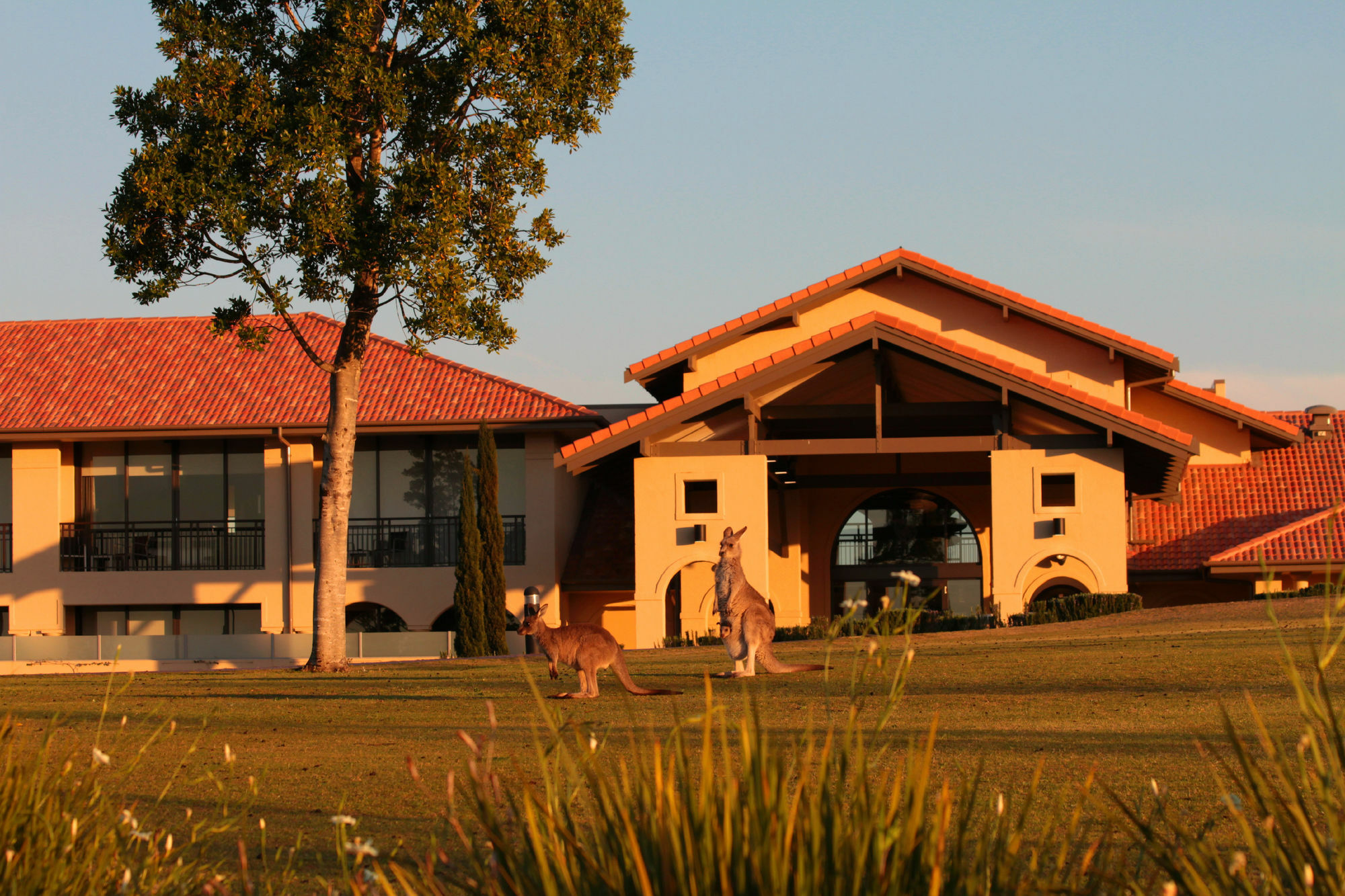 Chateau Elan At The Vintage Pokolbin Exterior foto Clubhouse at the Sanctuary Golf Resort
